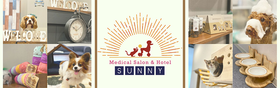 sunny logo